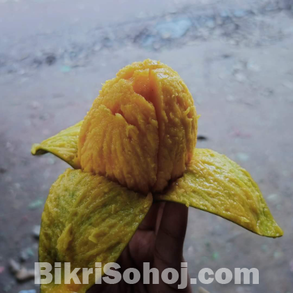 আমি রাজধানীর চাঁপাইনবাবগঞ্জের (ক্ষীরসাপাত) আম